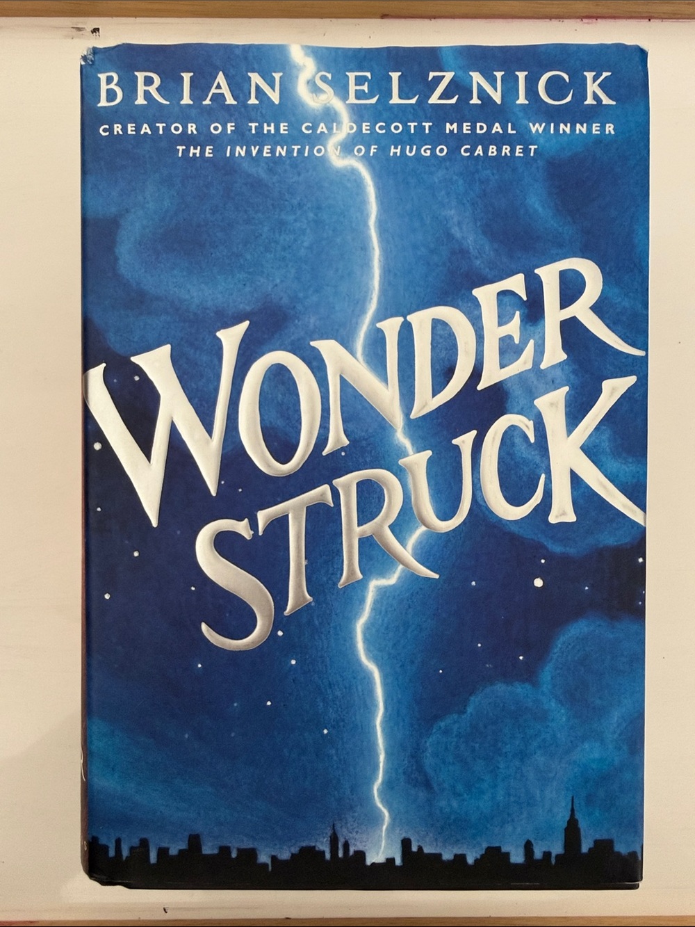 Wonderstruck by Brian Selznick - Blue Lightning Cover